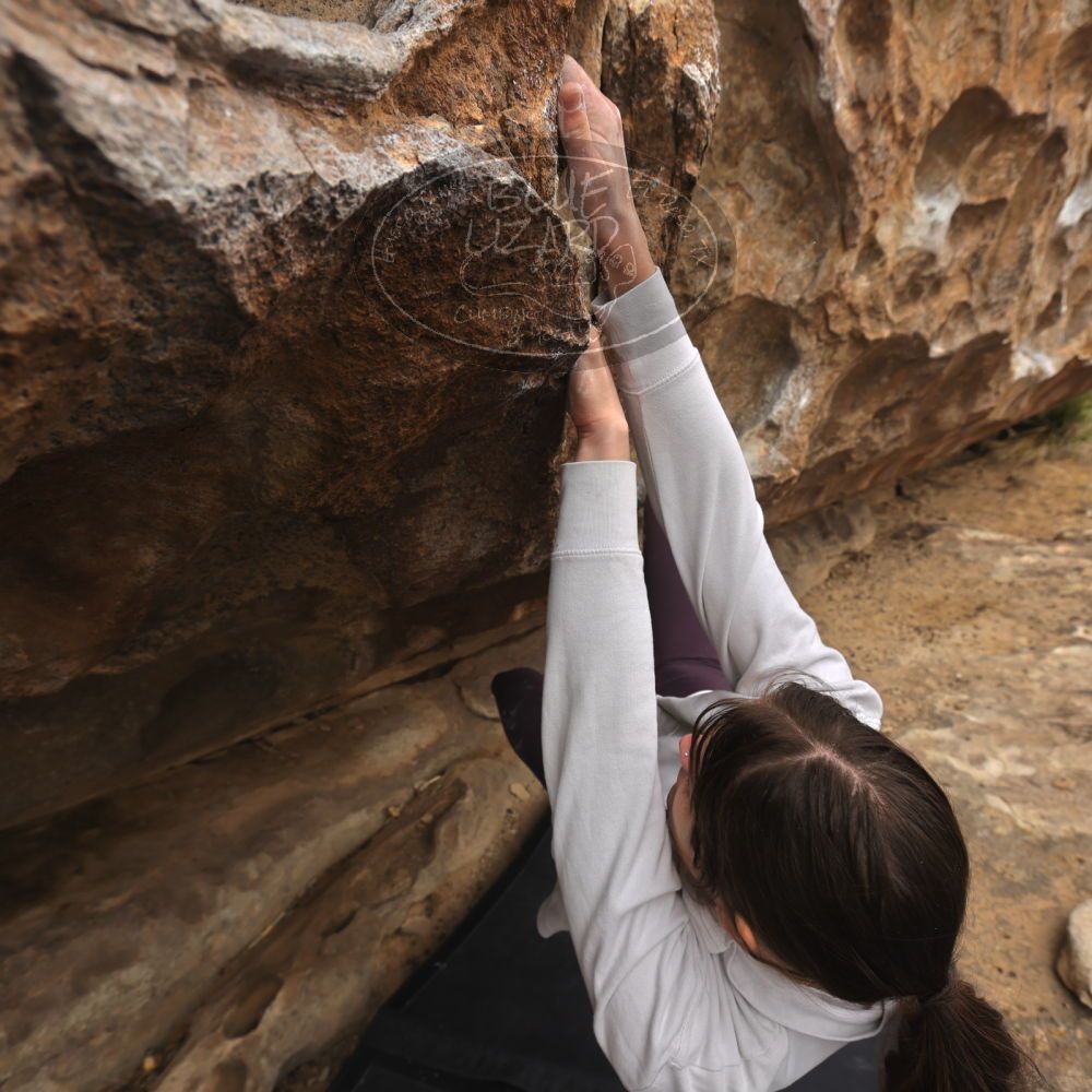 

Filename: SRM_20260104_1209260.jpg
Aperture: f/5.6
Shutter Speed: 1/500
Body: Canon EOS R6
Lens: Canon EF 16-35mm f/2.8 L