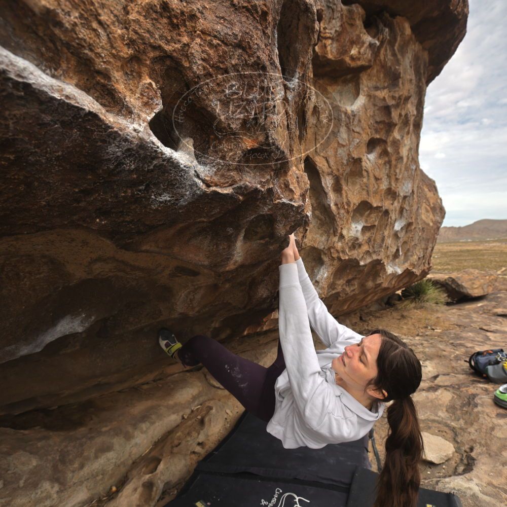 

Filename: SRM_20260104_1209350.jpg
Aperture: f/5.6
Shutter Speed: 1/500
Body: Canon EOS R6
Lens: Canon EF 16-35mm f/2.8 L