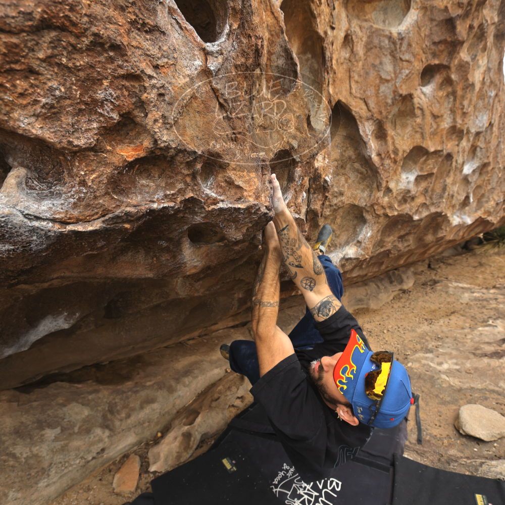 

Filename: SRM_20260104_1210030.jpg
Aperture: f/5.6
Shutter Speed: 1/500
Body: Canon EOS R6
Lens: Canon EF 16-35mm f/2.8 L