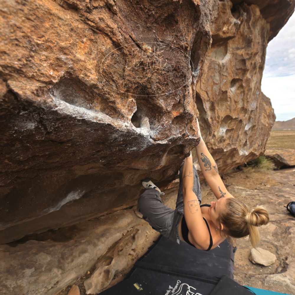 

Filename: SRM_20260104_1213530.jpg
Aperture: f/5.6
Shutter Speed: 1/500
Body: Canon EOS R6
Lens: Canon EF 16-35mm f/2.8 L