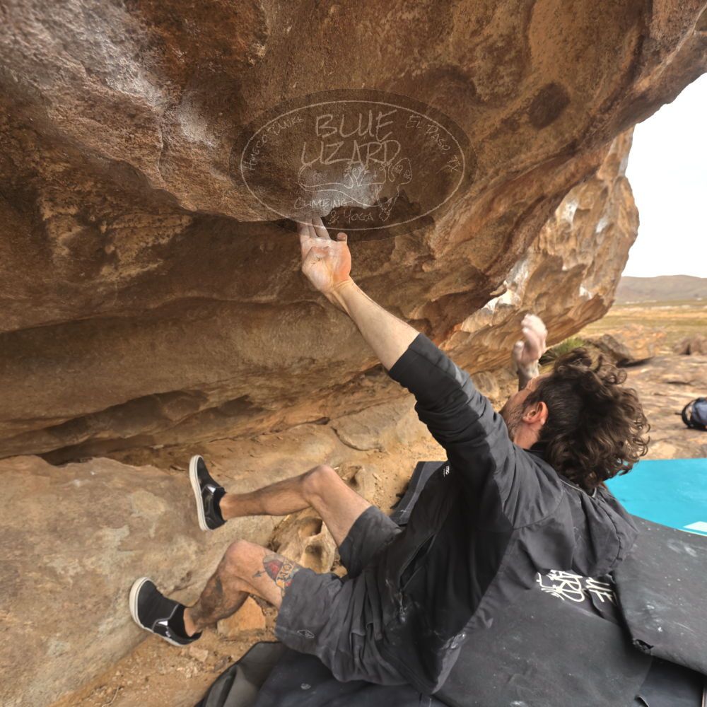 

Filename: SRM_20260104_1218140.jpg
Aperture: f/5.6
Shutter Speed: 1/500
Body: Canon EOS R6
Lens: Canon EF 16-35mm f/2.8 L