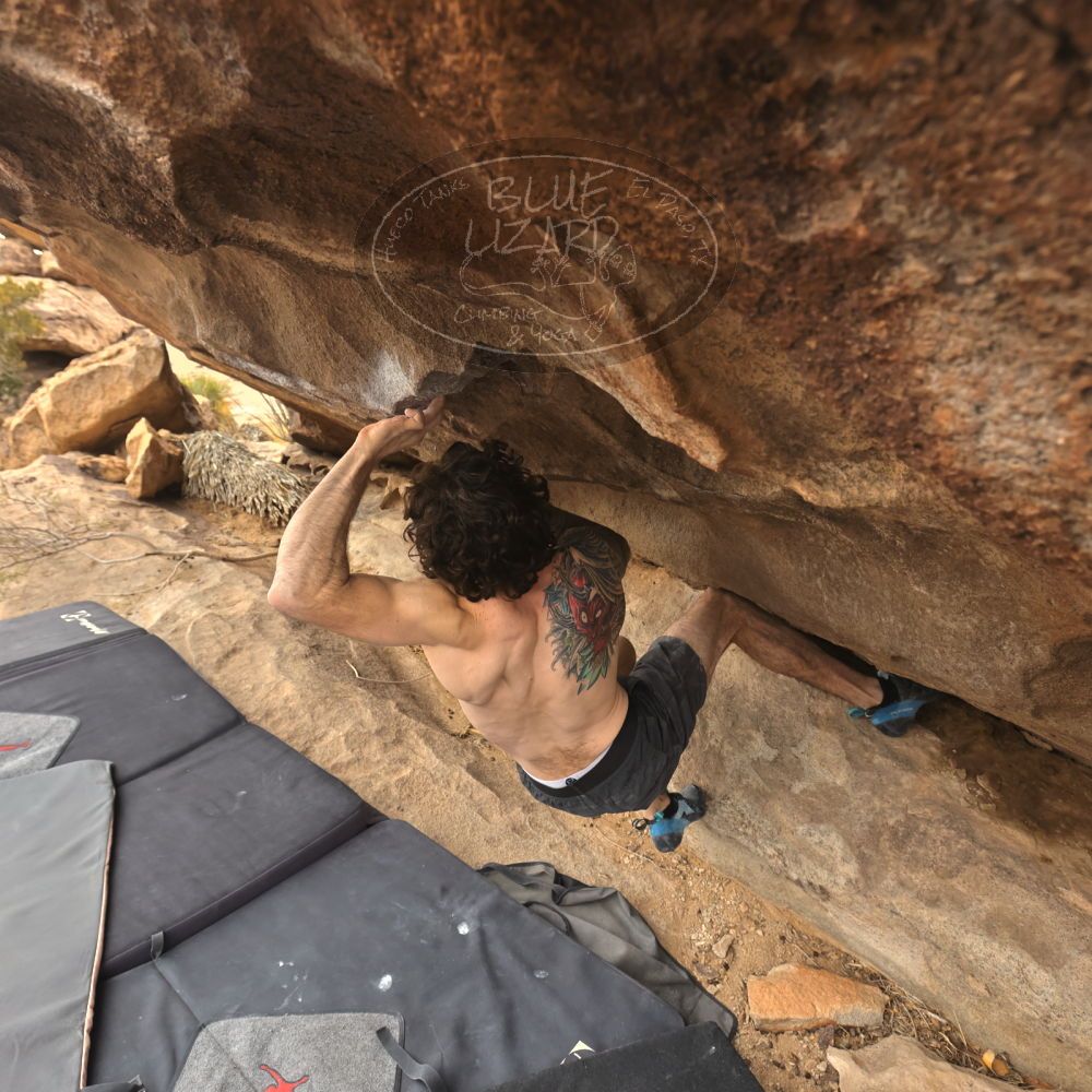 

Filename: SRM_20260104_1220480.jpg
Aperture: f/5.6
Shutter Speed: 1/500
Body: Canon EOS R6
Lens: Canon EF 16-35mm f/2.8 L