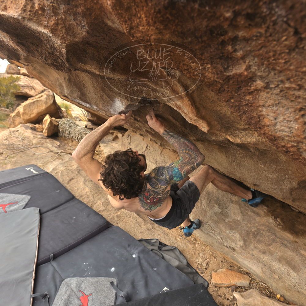 

Filename: SRM_20260104_1220481.jpg
Aperture: f/5.6
Shutter Speed: 1/500
Body: Canon EOS R6
Lens: Canon EF 16-35mm f/2.8 L