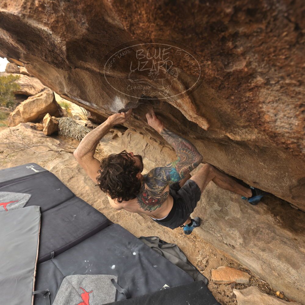 

Filename: SRM_20260104_1220482.jpg
Aperture: f/5.6
Shutter Speed: 1/500
Body: Canon EOS R6
Lens: Canon EF 16-35mm f/2.8 L