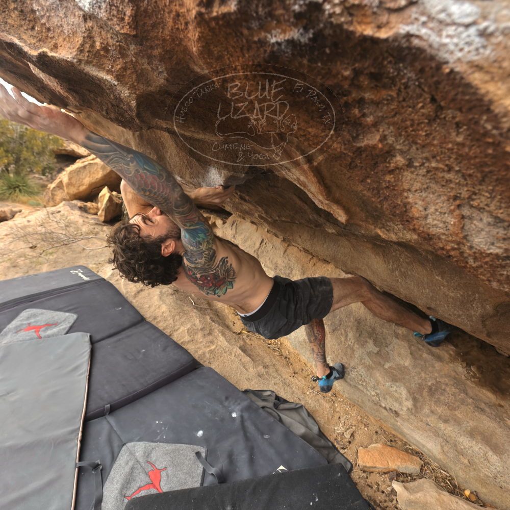 

Filename: SRM_20260104_1220500.jpg
Aperture: f/5.6
Shutter Speed: 1/500
Body: Canon EOS R6
Lens: Canon EF 16-35mm f/2.8 L