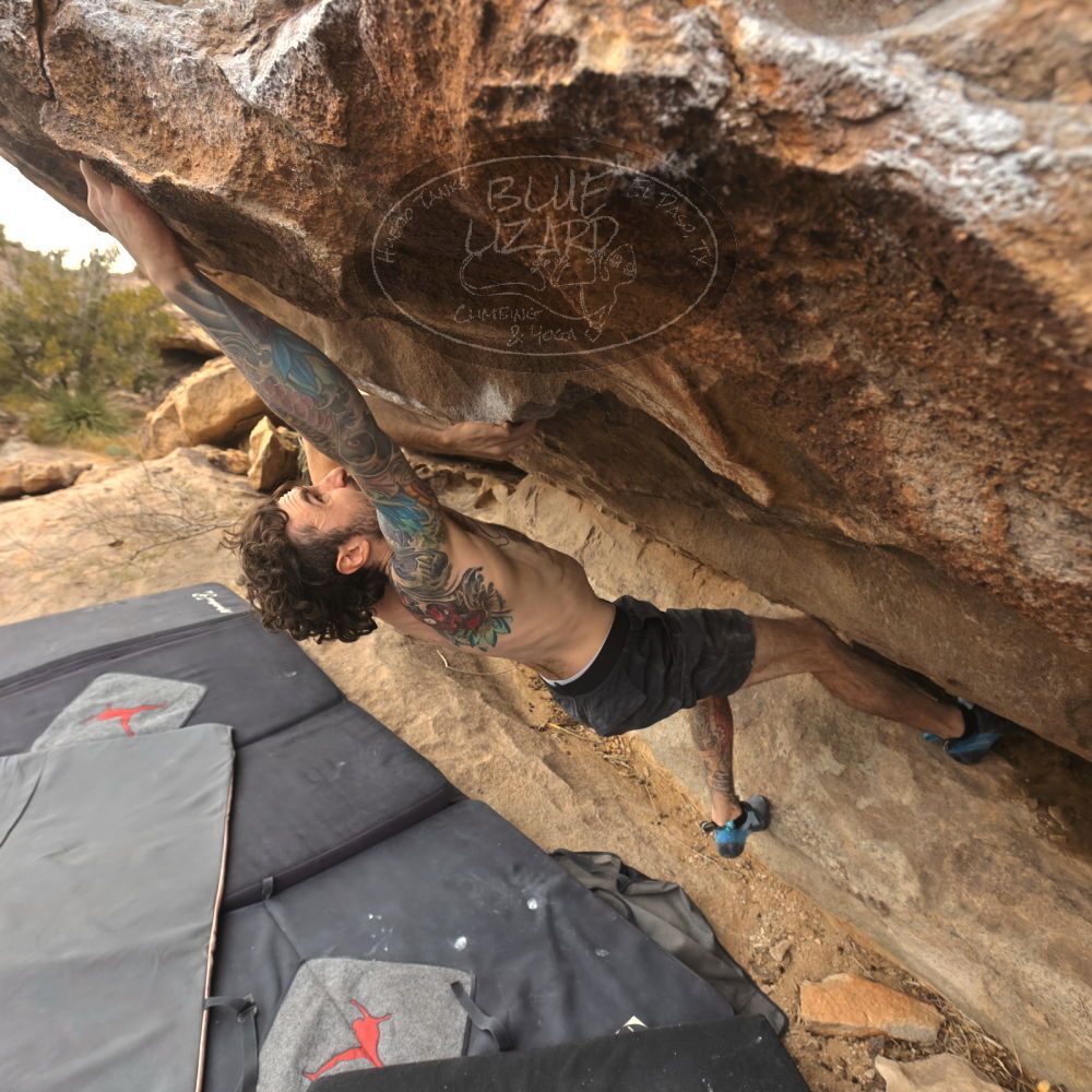 

Filename: SRM_20260104_1220501.jpg
Aperture: f/5.6
Shutter Speed: 1/500
Body: Canon EOS R6
Lens: Canon EF 16-35mm f/2.8 L