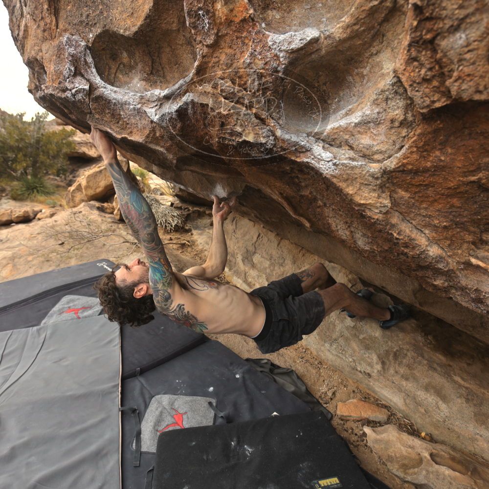 

Filename: SRM_20260104_1220530.jpg
Aperture: f/5.6
Shutter Speed: 1/500
Body: Canon EOS R6
Lens: Canon EF 16-35mm f/2.8 L