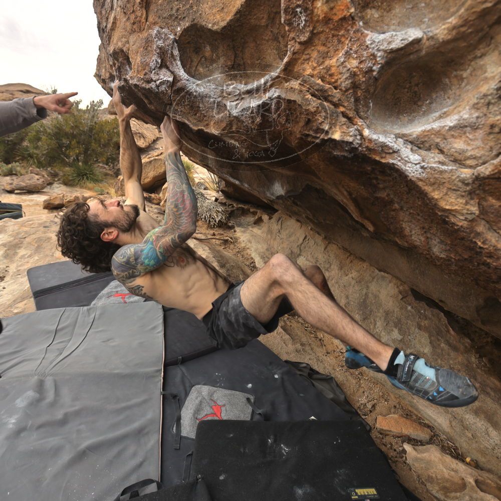 

Filename: SRM_20260104_1220560.jpg
Aperture: f/5.6
Shutter Speed: 1/500
Body: Canon EOS R6
Lens: Canon EF 16-35mm f/2.8 L