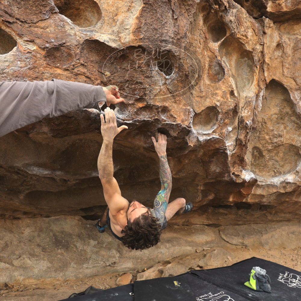 

Filename: SRM_20260104_1222460.jpg
Aperture: f/5.6
Shutter Speed: 1/500
Body: Canon EOS R6
Lens: Canon EF 16-35mm f/2.8 L