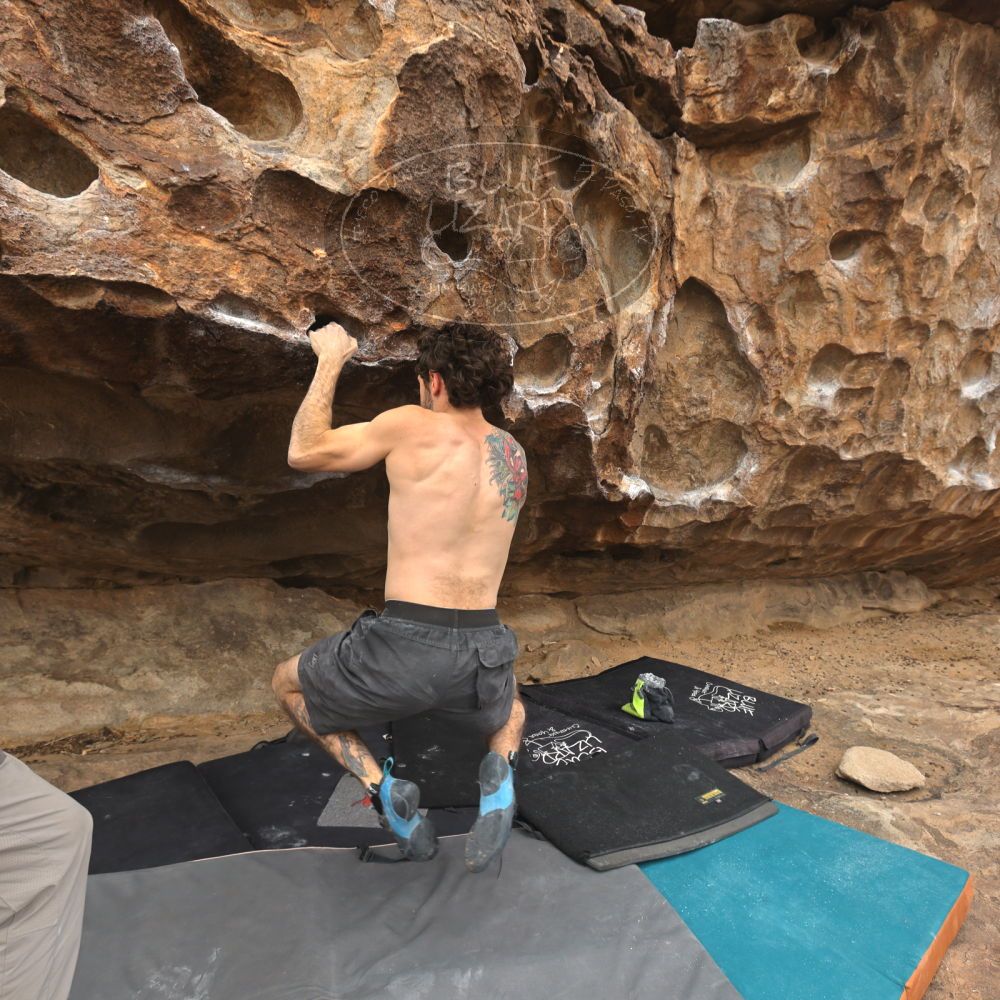 

Filename: SRM_20260104_1222464.jpg
Aperture: f/5.6
Shutter Speed: 1/500
Body: Canon EOS R6
Lens: Canon EF 16-35mm f/2.8 L