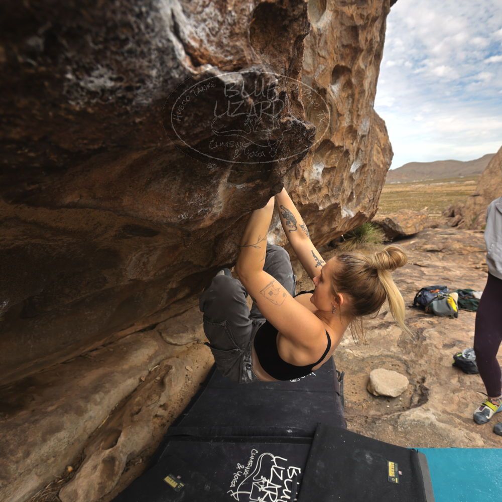 Filename: SRM_20260104_1225390.jpg
Aperture: f/5.6
Shutter Speed: 1/500
Body: Canon EOS R6
Lens: Canon EF 16-35mm f/2.8 L