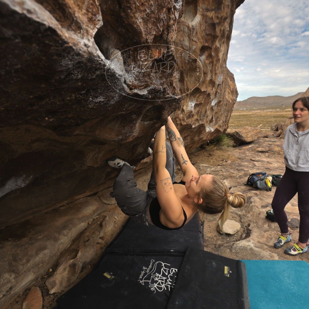 

Filename: SRM_20260104_1225460.jpg
Aperture: f/5.6
Shutter Speed: 1/500
Body: Canon EOS R6
Lens: Canon EF 16-35mm f/2.8 L