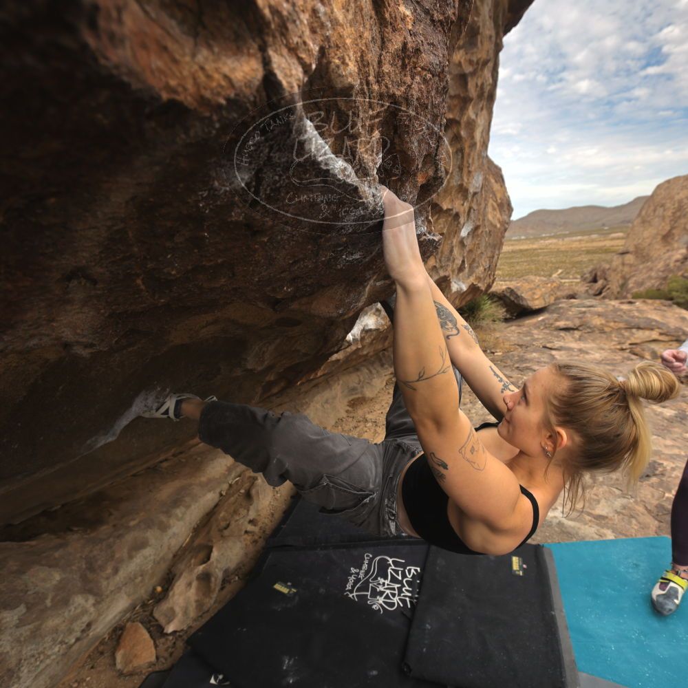 

Filename: SRM_20260104_1225580.jpg
Aperture: f/5.6
Shutter Speed: 1/500
Body: Canon EOS R6
Lens: Canon EF 16-35mm f/2.8 L