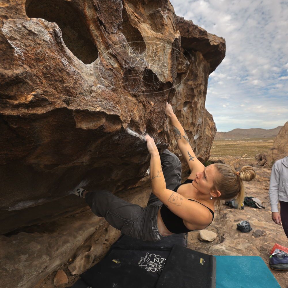 

Filename: SRM_20260104_1226020.jpg
Aperture: f/5.6
Shutter Speed: 1/500
Body: Canon EOS R6
Lens: Canon EF 16-35mm f/2.8 L