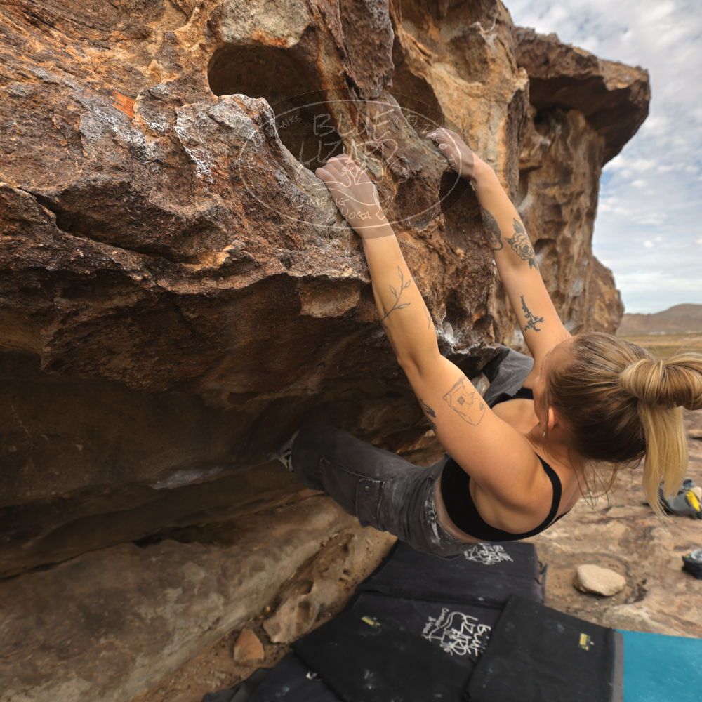 

Filename: SRM_20260104_1226090.jpg
Aperture: f/5.6
Shutter Speed: 1/500
Body: Canon EOS R6
Lens: Canon EF 16-35mm f/2.8 L