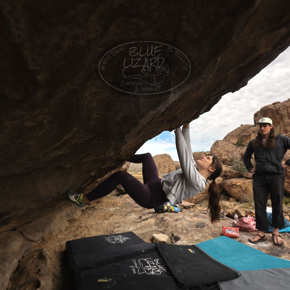 

Filename: SRM_20260104_1230221.jpg
Aperture: f/5.6
Shutter Speed: 1/500
Body: Canon EOS R6
Lens: Canon EF 16-35mm f/2.8 L