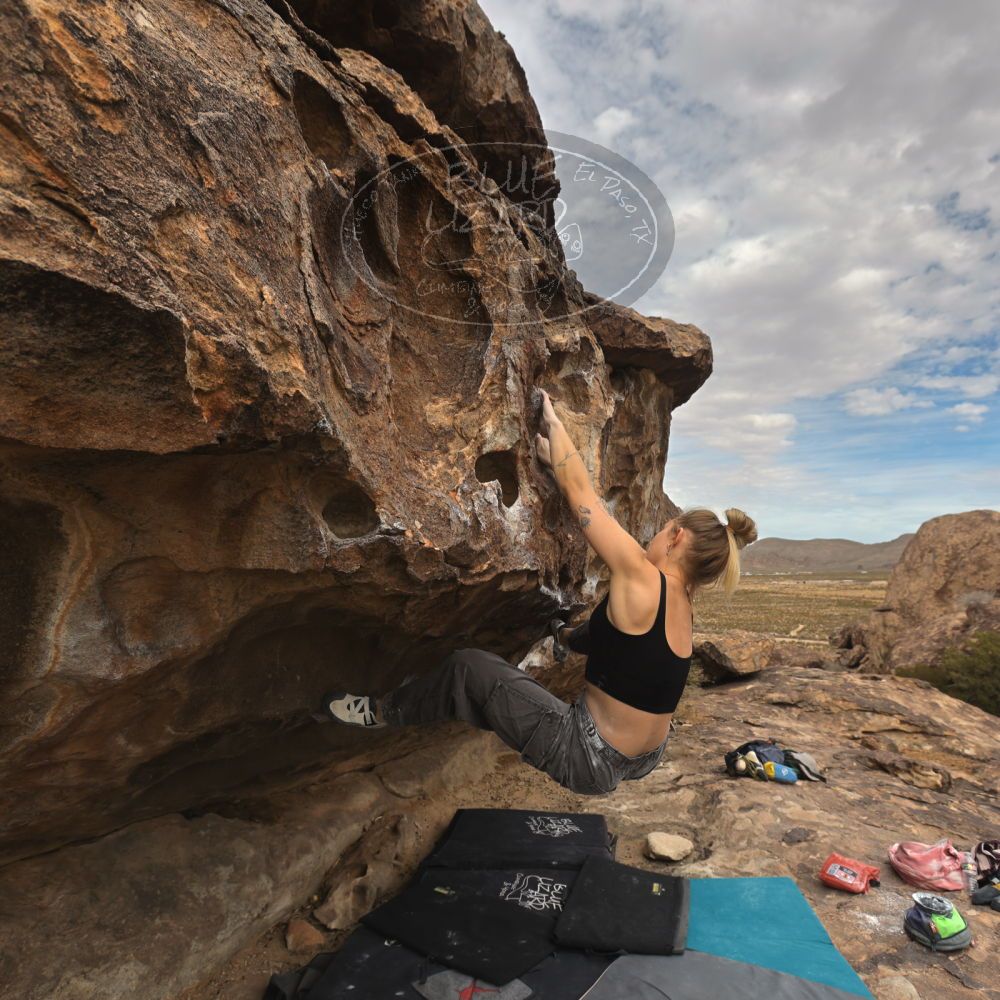 

Filename: SRM_20260104_1239440.jpg
Aperture: f/5.6
Shutter Speed: 1/500
Body: Canon EOS R6
Lens: Canon EF 16-35mm f/2.8 L