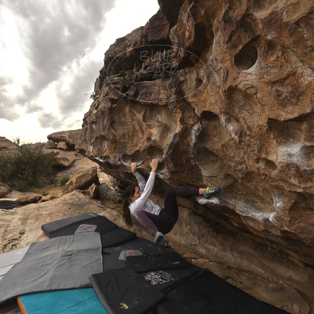 

Filename: SRM_20260104_1244570.jpg
Aperture: f/5.6
Shutter Speed: 1/500
Body: Canon EOS R6
Lens: Canon EF 16-35mm f/2.8 L