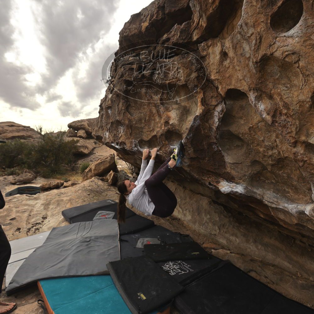 

Filename: SRM_20260104_1245061.jpg
Aperture: f/5.6
Shutter Speed: 1/500
Body: Canon EOS R6
Lens: Canon EF 16-35mm f/2.8 L