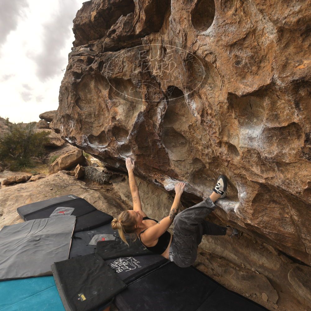 

Filename: SRM_20260104_1246280.jpg
Aperture: f/5.6
Shutter Speed: 1/500
Body: Canon EOS R6
Lens: Canon EF 16-35mm f/2.8 L