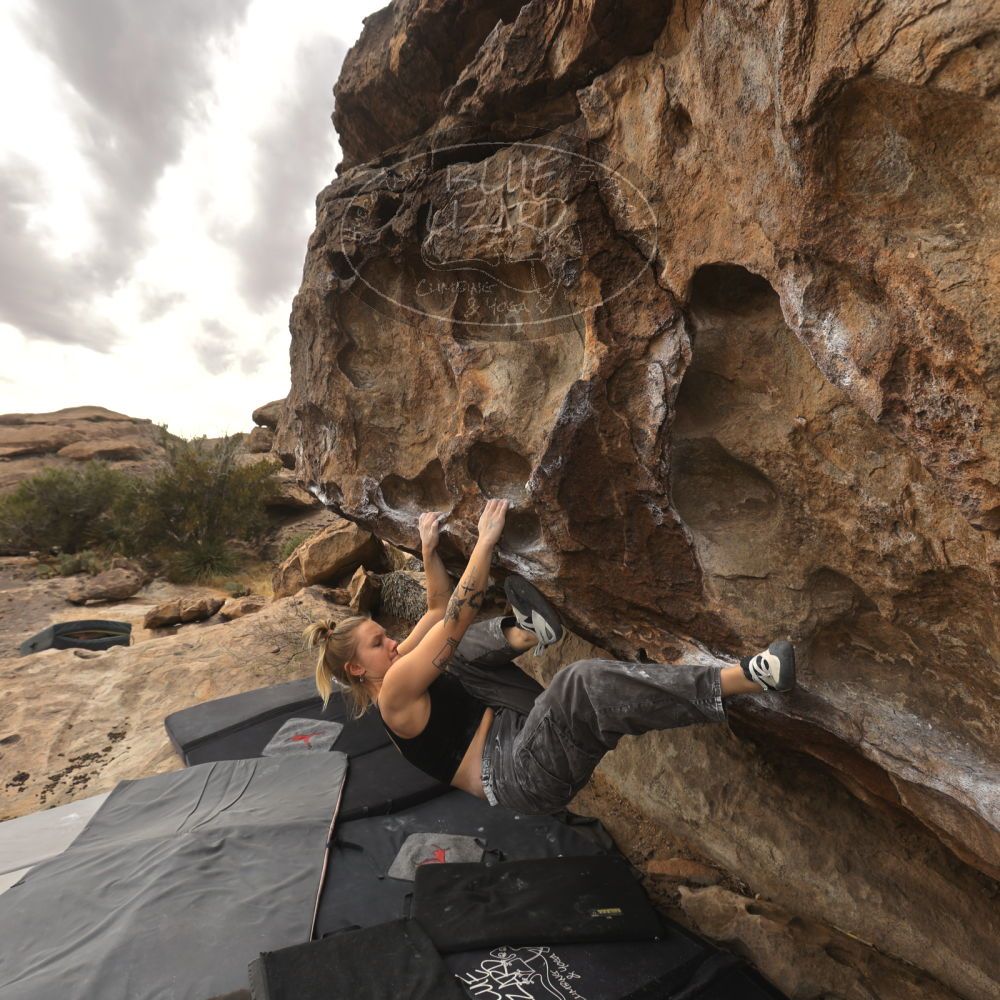 

Filename: SRM_20260104_1246400.jpg
Aperture: f/5.6
Shutter Speed: 1/500
Body: Canon EOS R6
Lens: Canon EF 16-35mm f/2.8 L