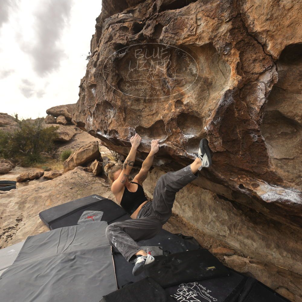 Filename: SRM_20260104_1246470.jpg
Aperture: f/5.6
Shutter Speed: 1/500
Body: Canon EOS R6
Lens: Canon EF 16-35mm f/2.8 L