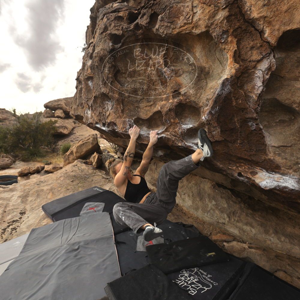 

Filename: SRM_20260104_1246480.jpg
Aperture: f/5.6
Shutter Speed: 1/500
Body: Canon EOS R6
Lens: Canon EF 16-35mm f/2.8 L