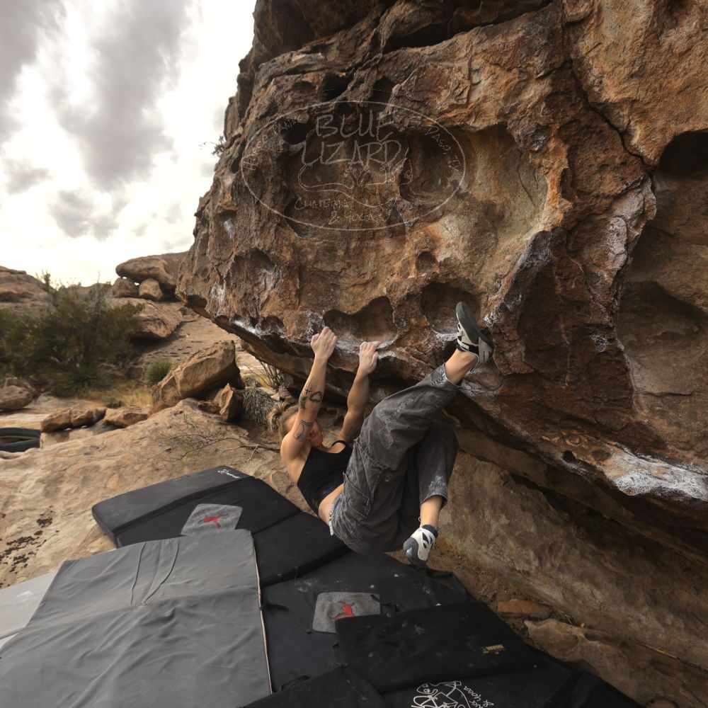 

Filename: SRM_20260104_1246490.jpg
Aperture: f/5.6
Shutter Speed: 1/500
Body: Canon EOS R6
Lens: Canon EF 16-35mm f/2.8 L