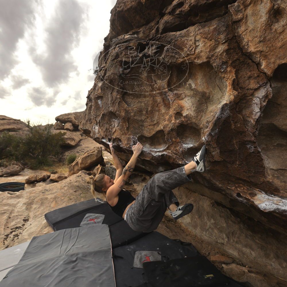 Filename: SRM_20260104_1246540.jpg
Aperture: f/5.6
Shutter Speed: 1/500
Body: Canon EOS R6
Lens: Canon EF 16-35mm f/2.8 L