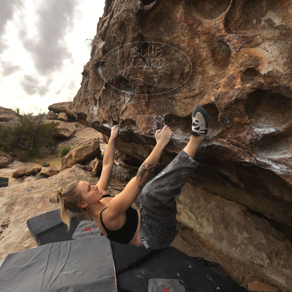 Filename: SRM_20260104_1246580.jpg
Aperture: f/5.6
Shutter Speed: 1/500
Body: Canon EOS R6
Lens: Canon EF 16-35mm f/2.8 L