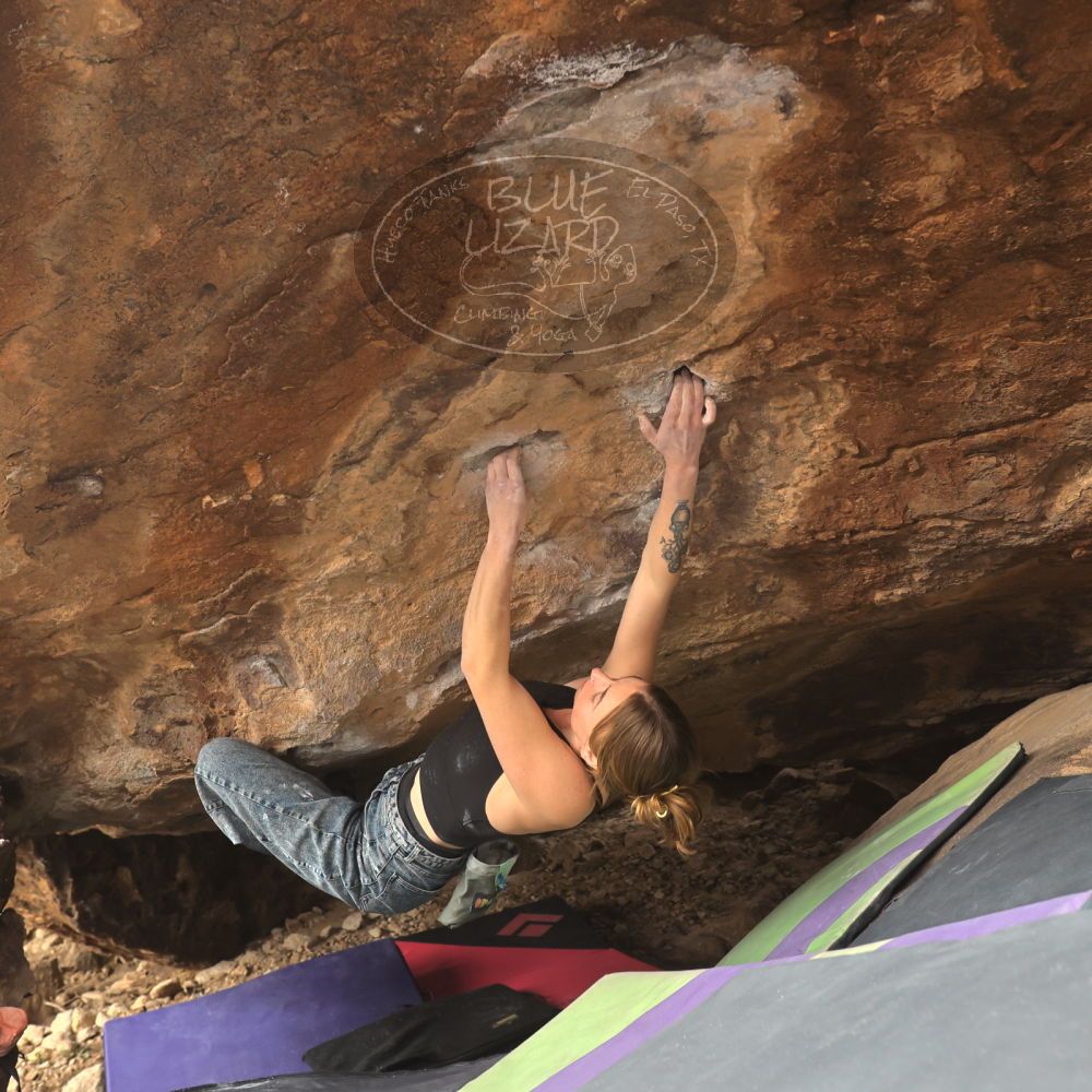 

Filename: SRM_20260104_1311230.jpg
Aperture: f/5.6
Shutter Speed: 1/800
Body: Canon EOS R6
Lens: Canon EF 16-35mm f/2.8 L