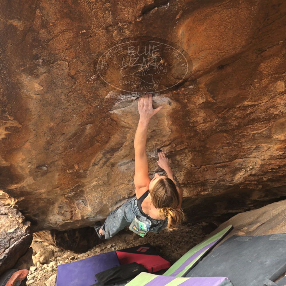 Filename: SRM_20260104_1311300.jpg
Aperture: f/5.6
Shutter Speed: 1/800
Body: Canon EOS R6
Lens: Canon EF 16-35mm f/2.8 L