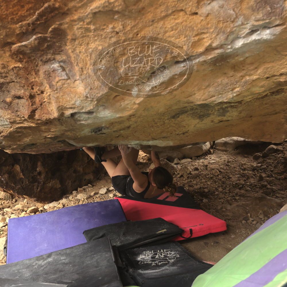 

Filename: SRM_20260104_1322170.jpg
Aperture: f/5.6
Shutter Speed: 1/500
Body: Canon EOS R6
Lens: Canon EF 16-35mm f/2.8 L