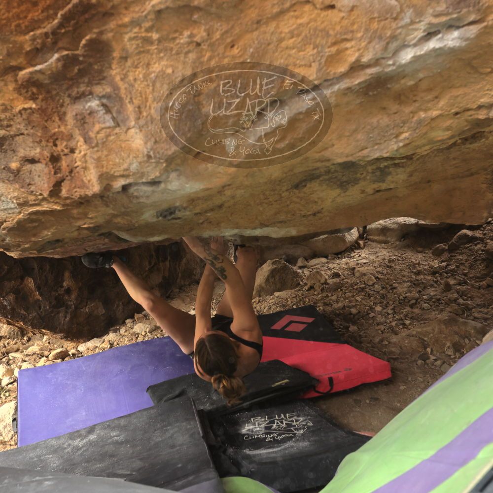 

Filename: SRM_20260104_1322230.jpg
Aperture: f/5.6
Shutter Speed: 1/500
Body: Canon EOS R6
Lens: Canon EF 16-35mm f/2.8 L