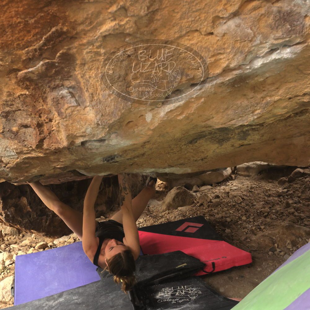 

Filename: SRM_20260104_1322260.jpg
Aperture: f/5.6
Shutter Speed: 1/500
Body: Canon EOS R6
Lens: Canon EF 16-35mm f/2.8 L