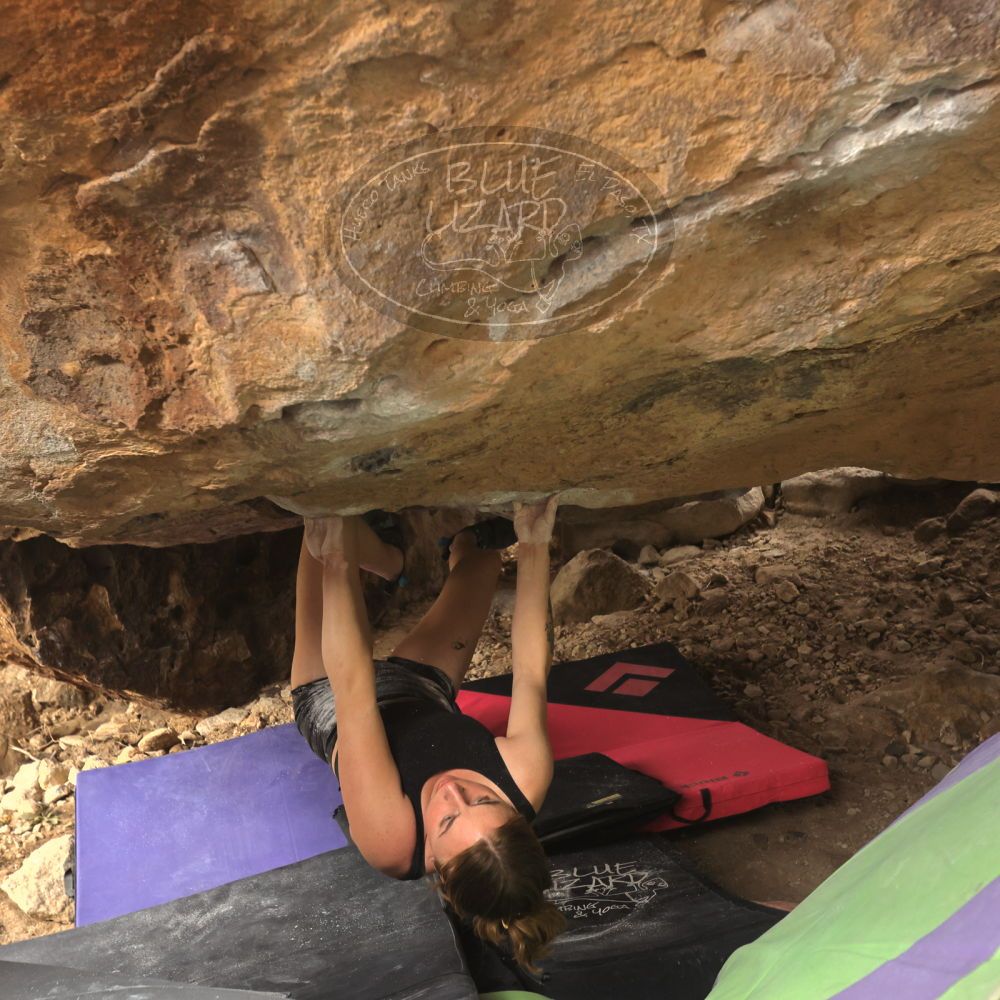 Filename: SRM_20260104_1322330.jpg
Aperture: f/5.6
Shutter Speed: 1/500
Body: Canon EOS R6
Lens: Canon EF 16-35mm f/2.8 L