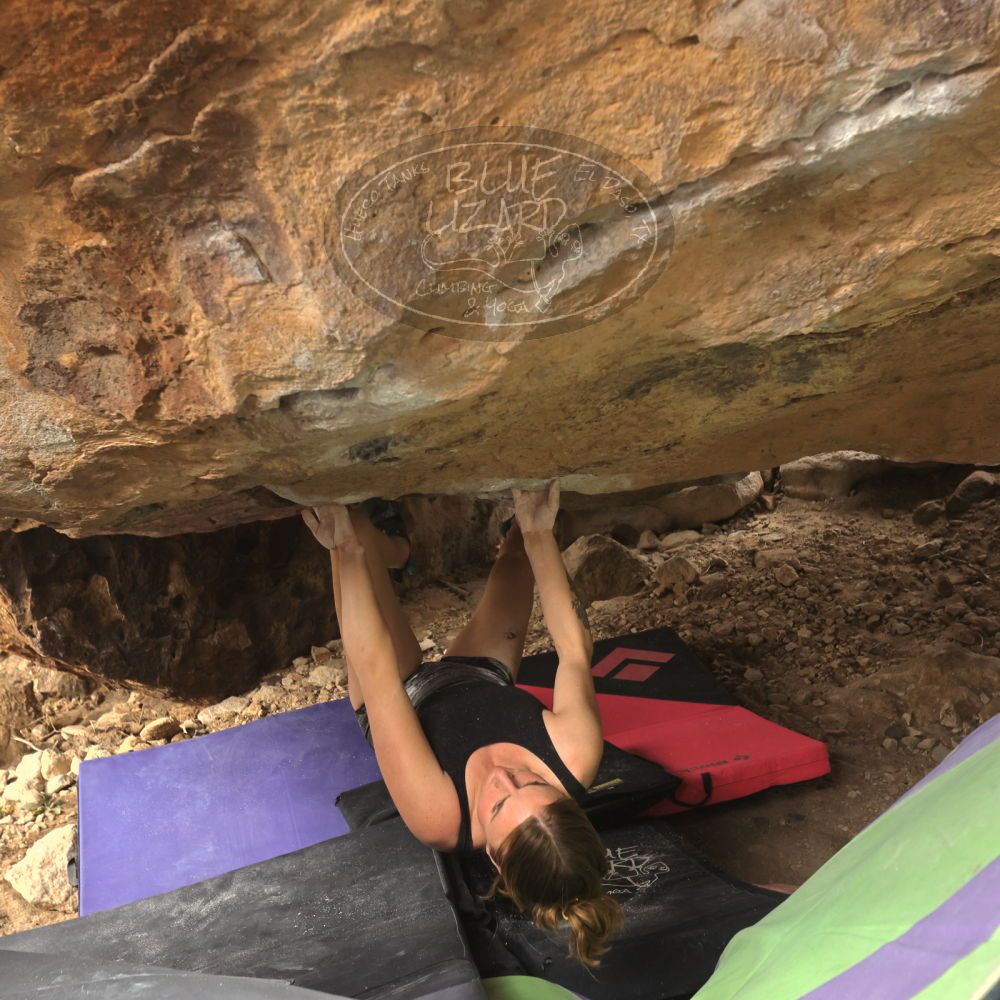 

Filename: SRM_20260104_1322340.jpg
Aperture: f/5.6
Shutter Speed: 1/500
Body: Canon EOS R6
Lens: Canon EF 16-35mm f/2.8 L