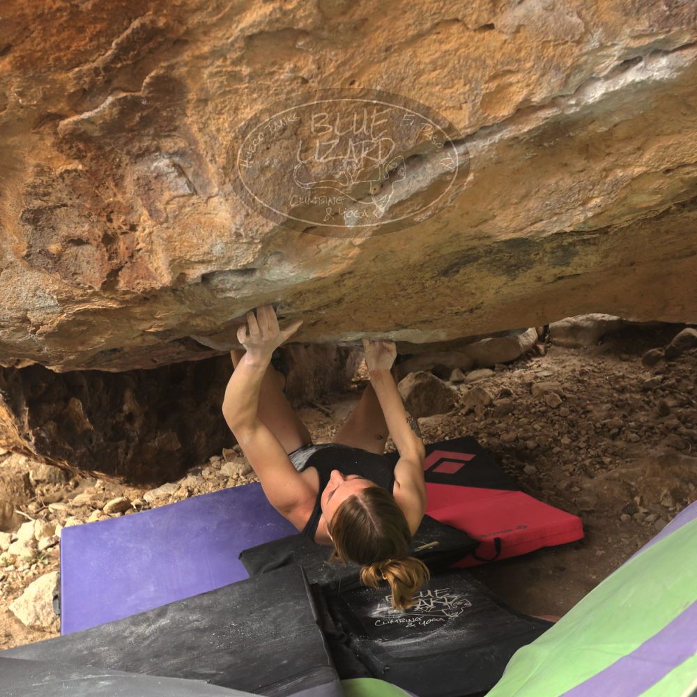 

Filename: SRM_20260104_1322350.jpg
Aperture: f/5.6
Shutter Speed: 1/500
Body: Canon EOS R6
Lens: Canon EF 16-35mm f/2.8 L