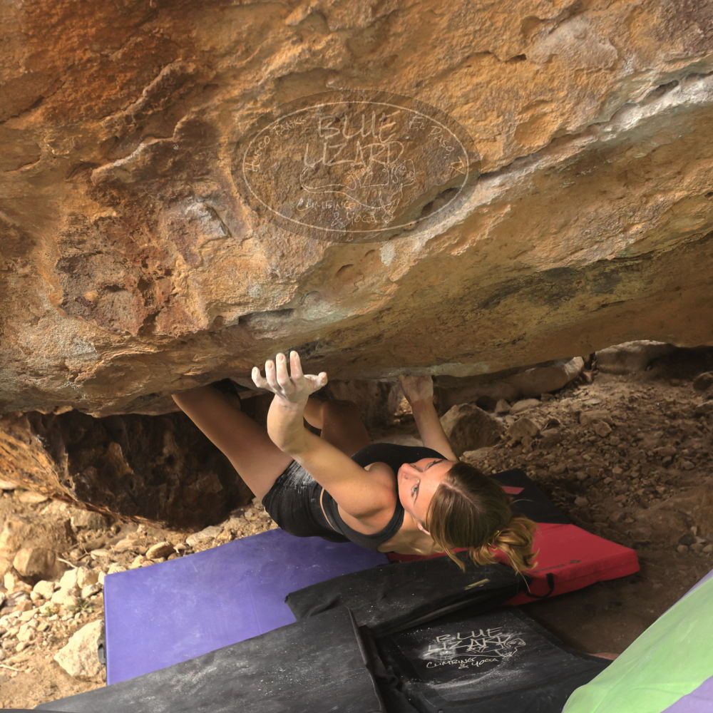 Filename: SRM_20260104_1322410.jpg
Aperture: f/5.6
Shutter Speed: 1/500
Body: Canon EOS R6
Lens: Canon EF 16-35mm f/2.8 L