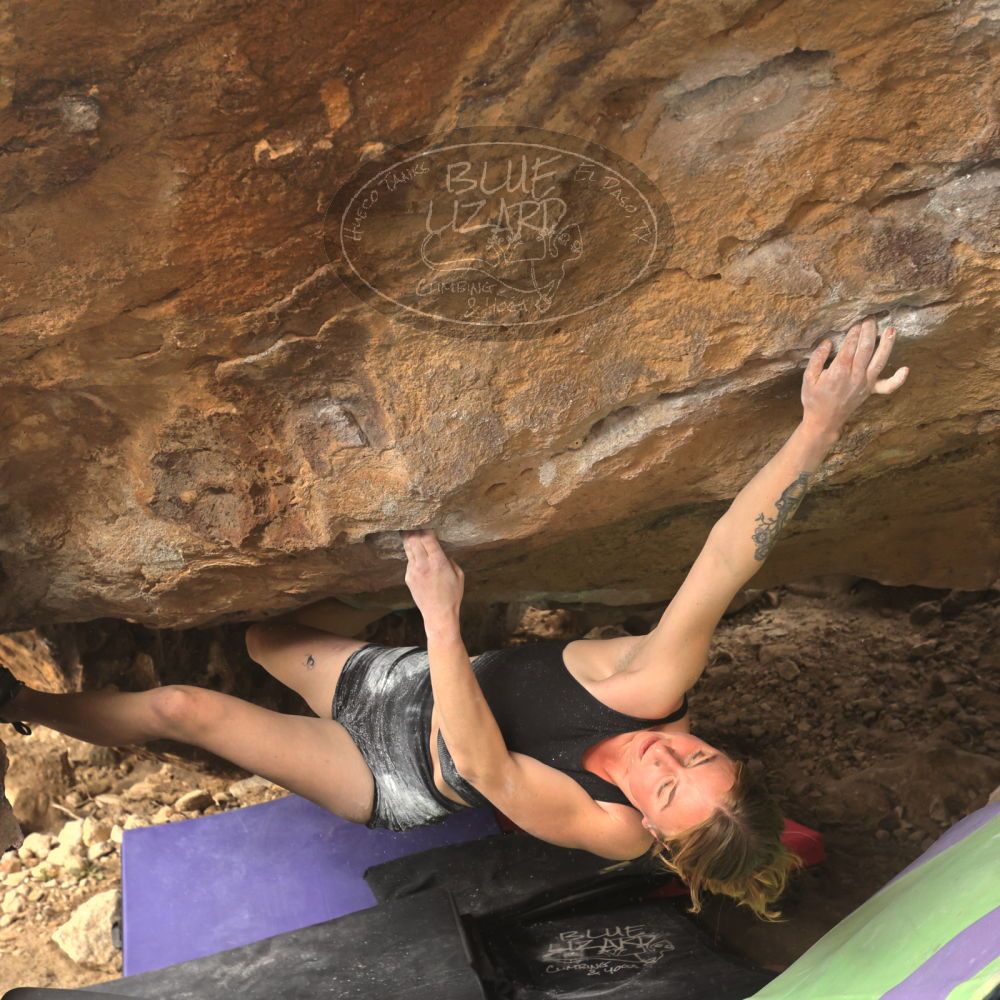 

Filename: SRM_20260104_1322480.jpg
Aperture: f/5.6
Shutter Speed: 1/500
Body: Canon EOS R6
Lens: Canon EF 16-35mm f/2.8 L