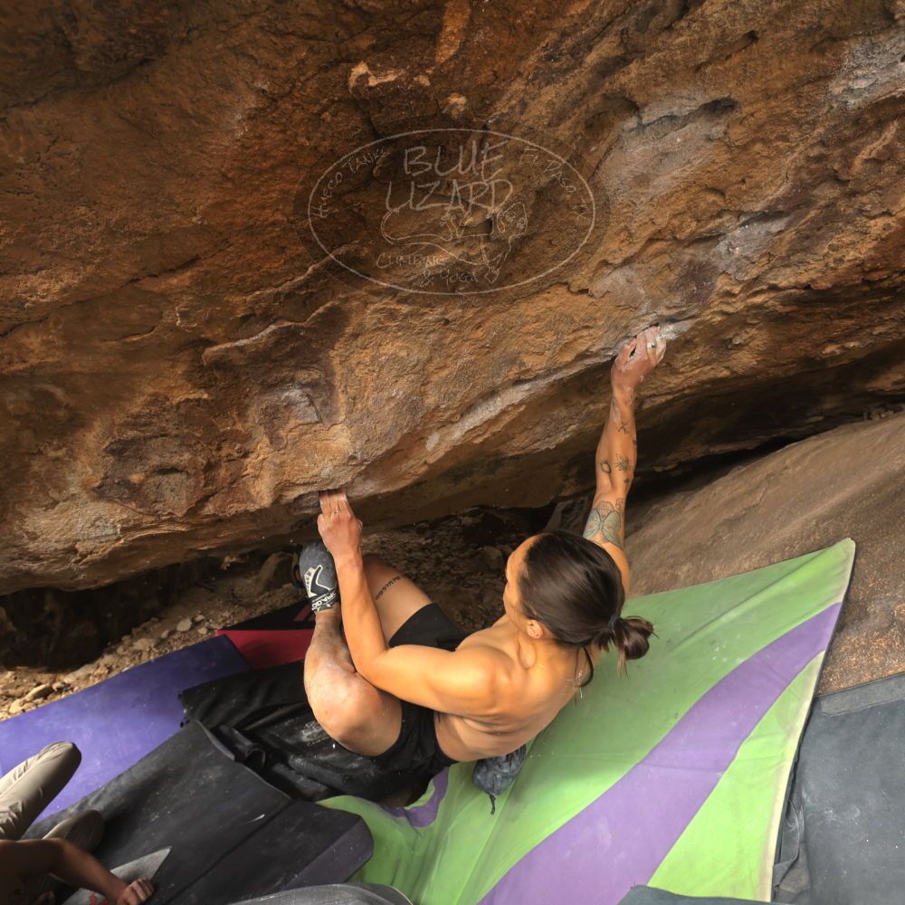 

Filename: SRM_20260104_1327280.jpg
Aperture: f/5.6
Shutter Speed: 1/320
Body: Canon EOS R6
Lens: Canon EF 16-35mm f/2.8 L