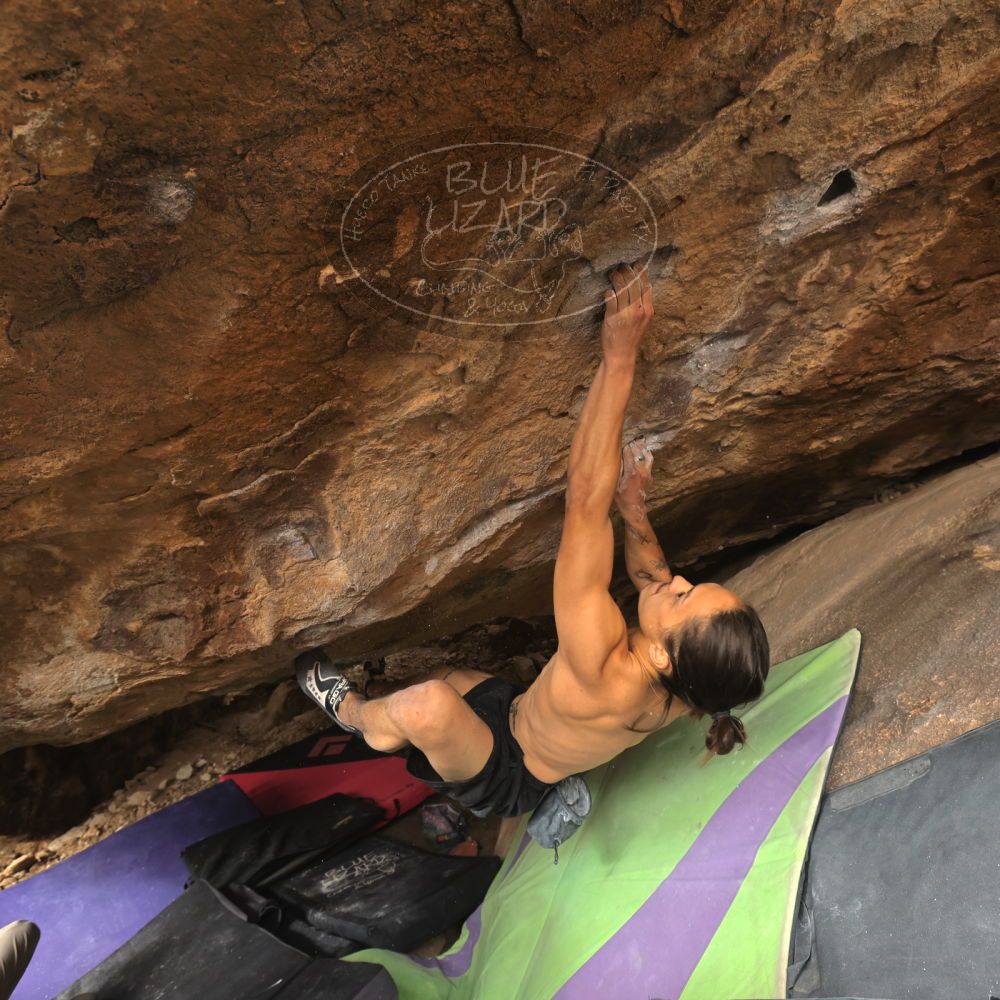 

Filename: SRM_20260104_1327311.jpg
Aperture: f/5.6
Shutter Speed: 1/320
Body: Canon EOS R6
Lens: Canon EF 16-35mm f/2.8 L