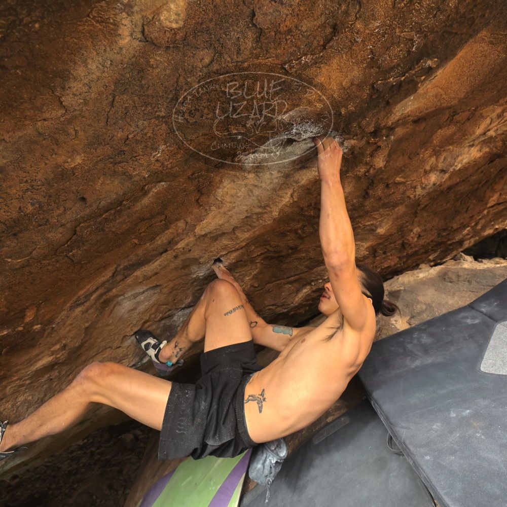 

Filename: SRM_20260104_1327460.jpg
Aperture: f/5.6
Shutter Speed: 1/320
Body: Canon EOS R6
Lens: Canon EF 16-35mm f/2.8 L