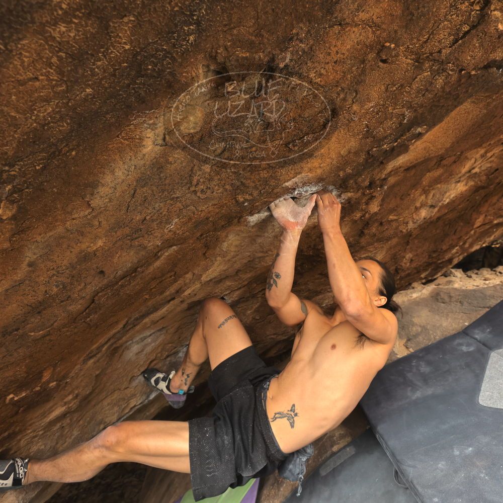 

Filename: SRM_20260104_1327470.jpg
Aperture: f/5.6
Shutter Speed: 1/320
Body: Canon EOS R6
Lens: Canon EF 16-35mm f/2.8 L