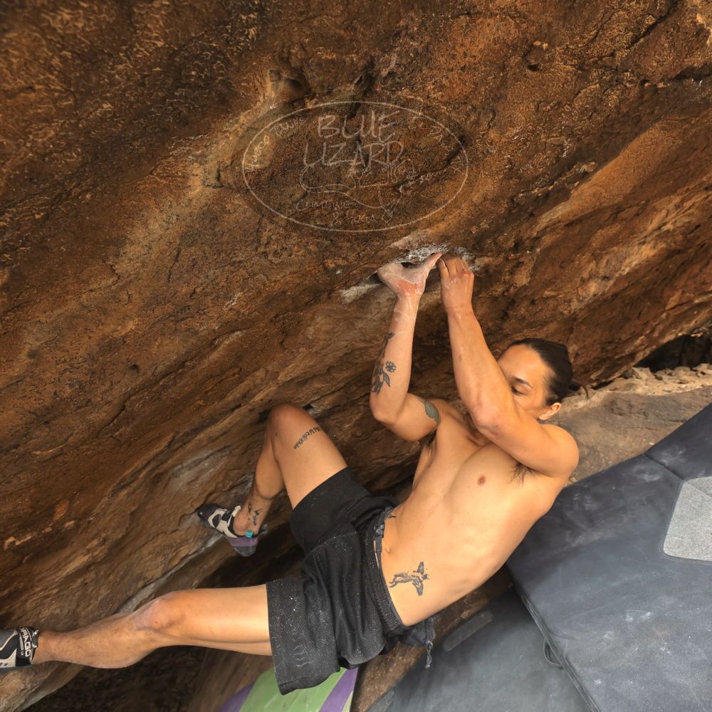 

Filename: SRM_20260104_1327471.jpg
Aperture: f/5.6
Shutter Speed: 1/320
Body: Canon EOS R6
Lens: Canon EF 16-35mm f/2.8 L