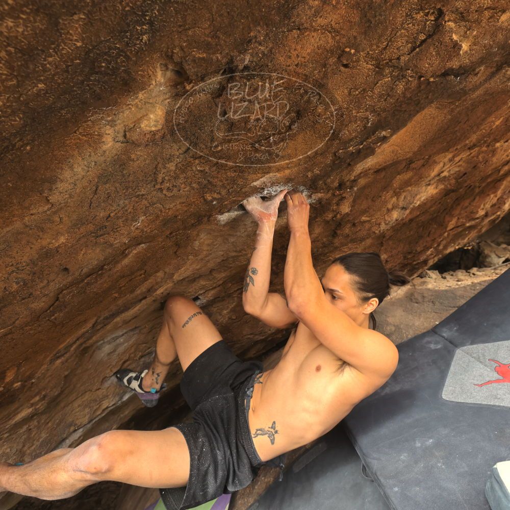 

Filename: SRM_20260104_1327480.jpg
Aperture: f/5.6
Shutter Speed: 1/320
Body: Canon EOS R6
Lens: Canon EF 16-35mm f/2.8 L