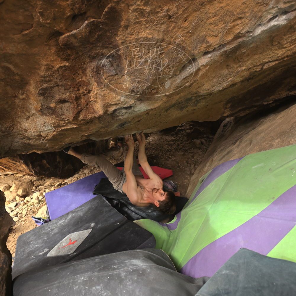 

Filename: SRM_20260104_1330250.jpg
Aperture: f/5.6
Shutter Speed: 1/320
Body: Canon EOS R6
Lens: Canon EF 16-35mm f/2.8 L