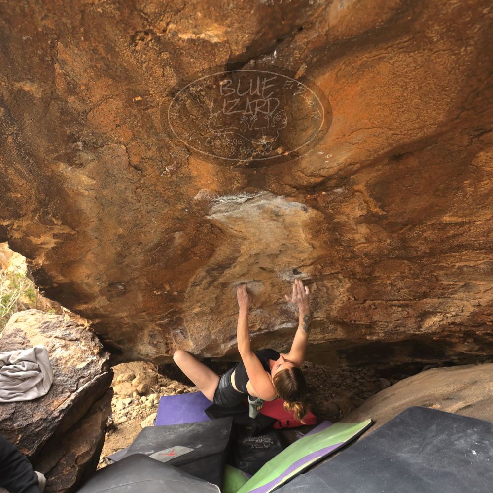 Filename: SRM_20260104_1338230.jpg
Aperture: f/5.6
Shutter Speed: 1/320
Body: Canon EOS R6
Lens: Canon EF 16-35mm f/2.8 L