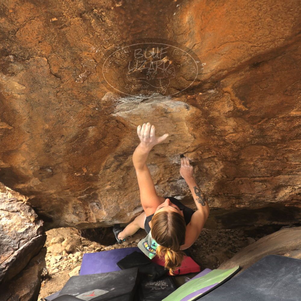 

Filename: SRM_20260104_1338320.jpg
Aperture: f/5.6
Shutter Speed: 1/320
Body: Canon EOS R6
Lens: Canon EF 16-35mm f/2.8 L