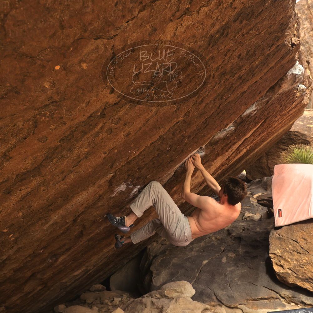 Filename: SRM_20260104_1433070.jpg
Aperture: f/5.6
Shutter Speed: 1/400
Body: Canon EOS R6
Lens: Canon EF 16-35mm f/2.8 L